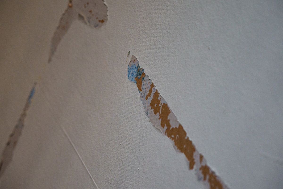 Water Extraction service in El Paso, TX